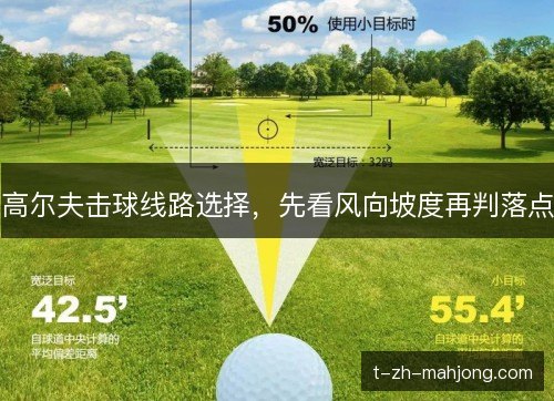 高尔夫击球线路选择，先看风向坡度再判落点